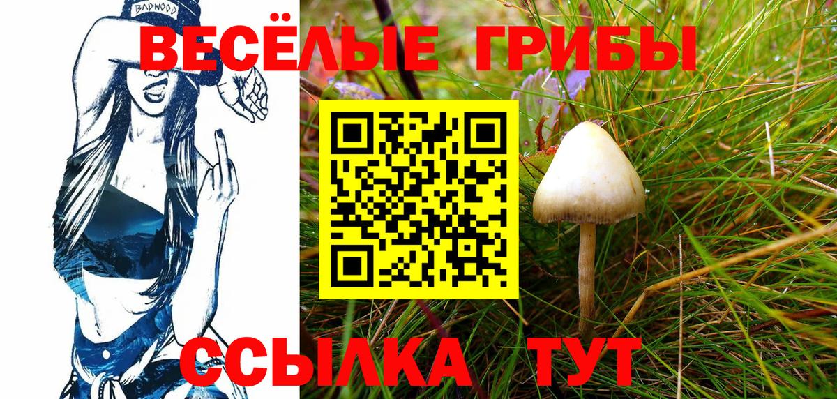 Псилоцибиновые грибы GOLDEN TEACHER  Вход с VPN  Лянтор 